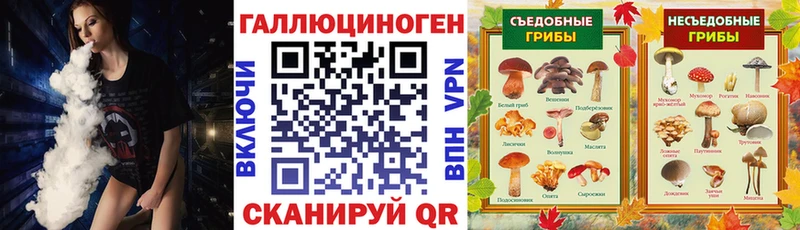 OMG ссылки  Новотитаровская  Псилоцибиновые грибы Cubensis  наркота 